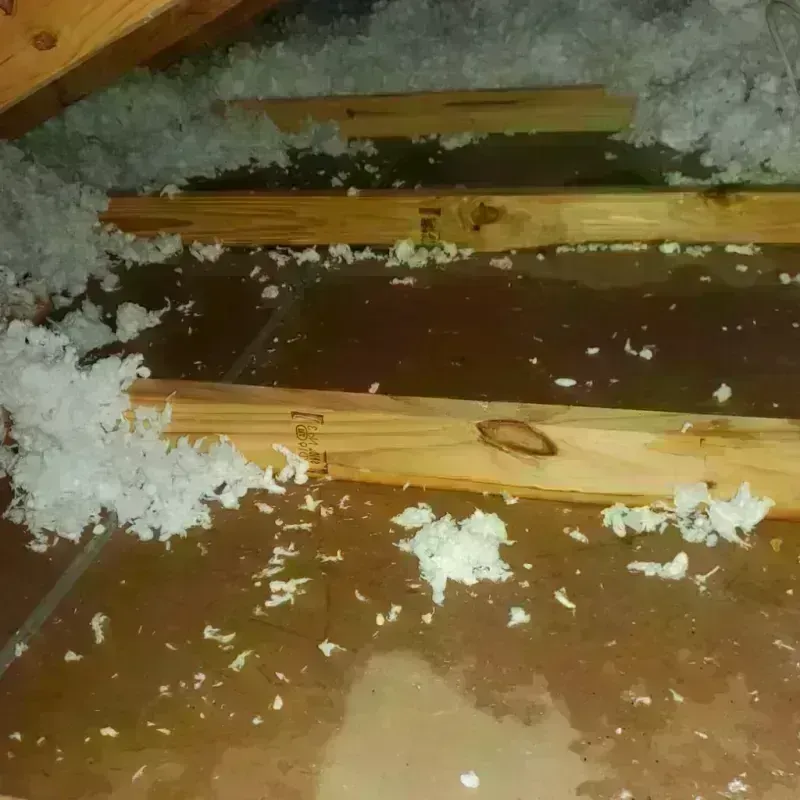 Attic Water Damage in Tucker County, WV